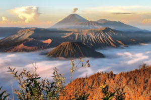 layanan_1