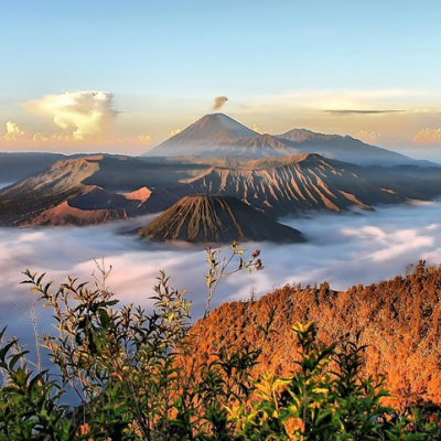 layanan_1